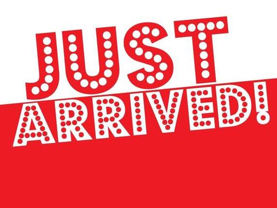 VOLKSWAGEN ATLAS 2025 1V2JR2CA4SC529798 image