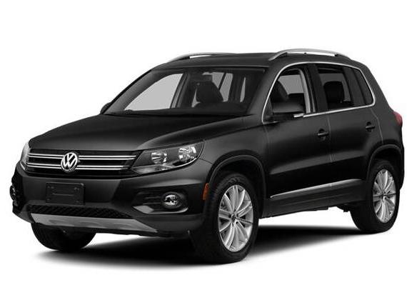 VOLKSWAGEN TIGUAN 2013 WVGAV3AX1DW613083 image
