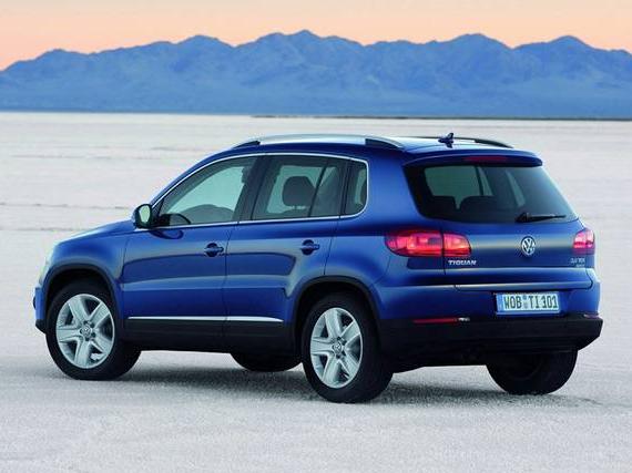 VOLKSWAGEN TIGUAN 2013 WVGBV3AX5DW569738 image
