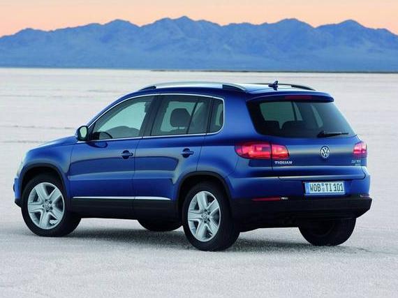 VOLKSWAGEN TIGUAN 2013 WVGBV7AX6DW545357 image