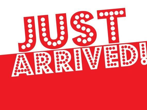 VOLKSWAGEN TIGUAN 2013 WVGBV3AX3DW563727 image