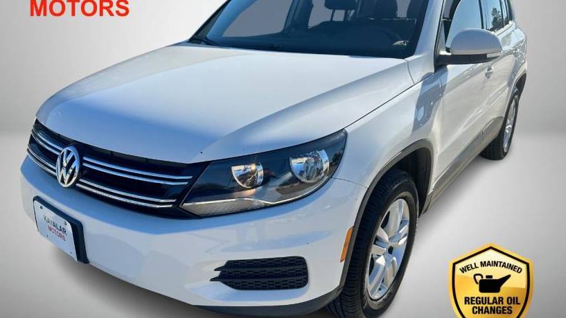 VOLKSWAGEN TIGUAN 2013 WVGAV3AX2DW619118 image