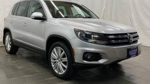 VOLKSWAGEN TIGUAN 2013 WVGBV3AX7DW055048 image