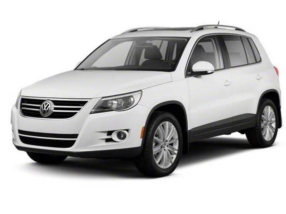 VOLKSWAGEN TIGUAN 2010 WVGBV7AXXAW530050 image