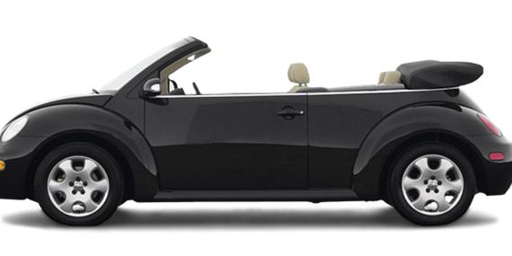 VOLKSWAGEN BEETLE 2003 3VWCD21Y73M319332 image