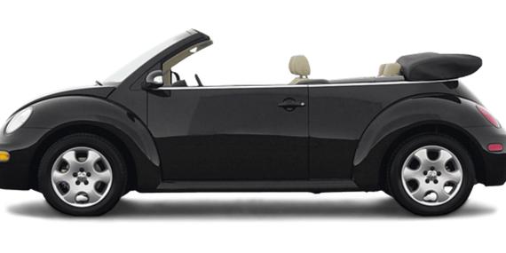 VOLKSWAGEN BEETLE 2003 3VWCK21Y43M306818 image