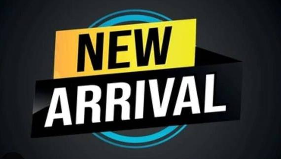 DODGE JOURNEY 2019 3C4PDCBB8KT719246 image