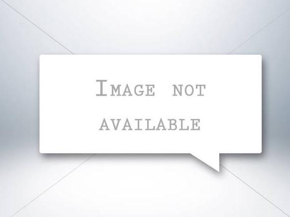 DODGE DURANGO 2020 1C4RDHDG2LC339184 image