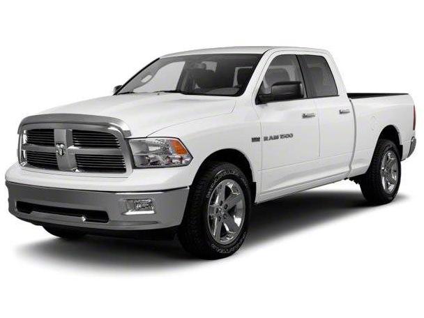 DODGE RAM 2010 1D7RV1GT8AS242156 image