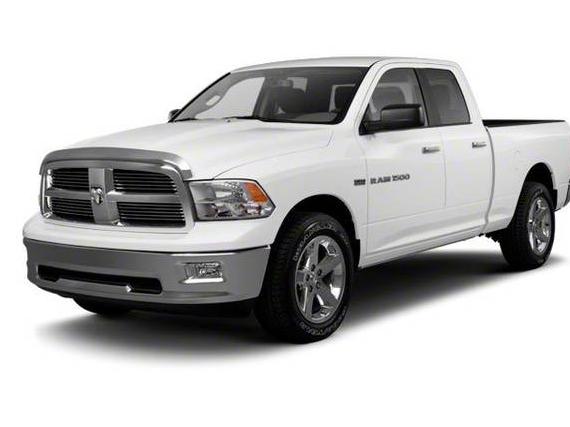 DODGE RAM 2010 1D7RB1GK4AS230859 image