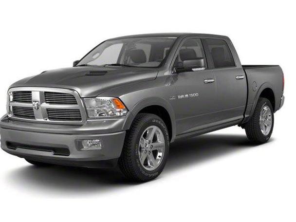 DODGE RAM 2010 1D7RV1CP8AS188091 image