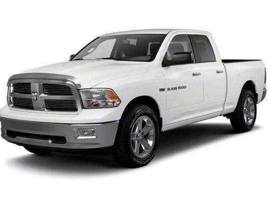 DODGE RAM 2010 1D7RB1GP7AS223674 image