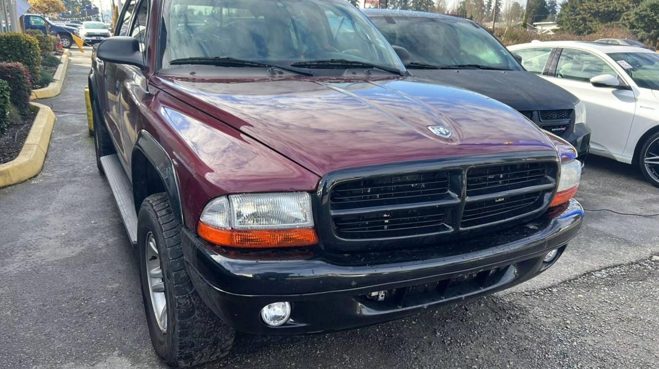 DODGE DAKOTA 2003 1D7HG48N13S335160 image