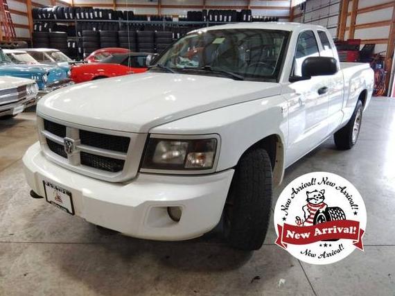 DODGE DAKOTA 2010 1D7RW3BPXAS205757 image