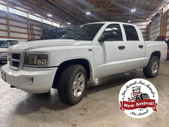 DODGE DAKOTA 2010 1D7RW3GP0AS205758 image