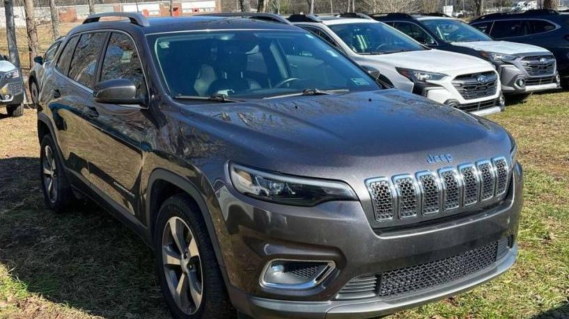 JEEP CHEROKEE 2019 1C4PJLDB1KD185230 image