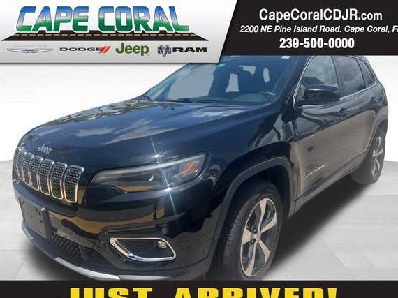 JEEP CHEROKEE 2019 1C4PJMDX1KD217403 image