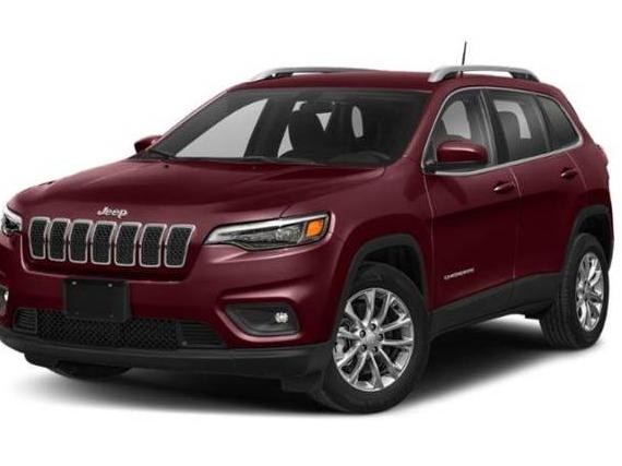 JEEP CHEROKEE 2019 1C4PJLDB6KD264750 image