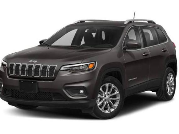JEEP CHEROKEE 2019 1C4PJMDN0KD259947 image