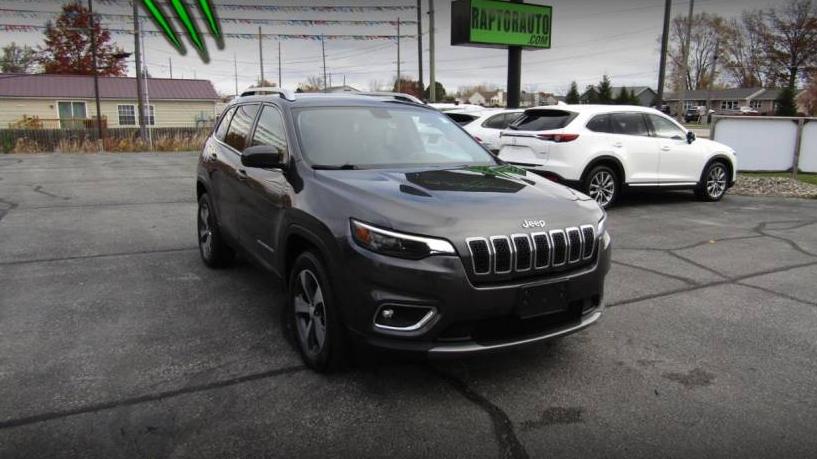 JEEP CHEROKEE 2019 1C4PJMDX9KD415517 image