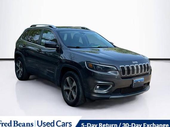 JEEP CHEROKEE 2019 1C4PJMDX3KD394521 image