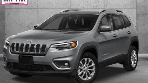 JEEP CHEROKEE 2019 1C4PJLDB4KD233061 image