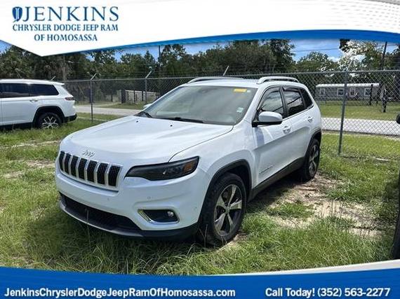 JEEP CHEROKEE 2019 1C4PJLDX6KD273234 image