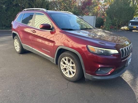 JEEP CHEROKEE 2019 1C4PJLCB6KD331719 image