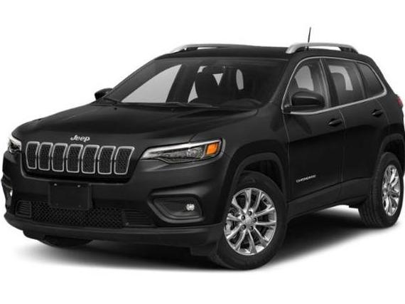 JEEP CHEROKEE 2019 1C4PJLDB4KD185139 image