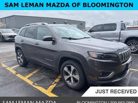 JEEP CHEROKEE 2019 1C4PJMDN2KD179534 image