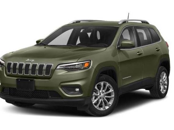 JEEP CHEROKEE 2019 1C4PJMDN5KD207391 image