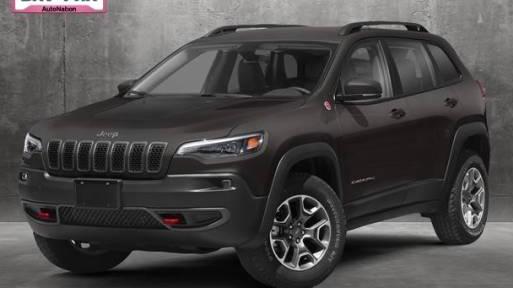 JEEP CHEROKEE 2019 1C4PJMLX0KD412653 image