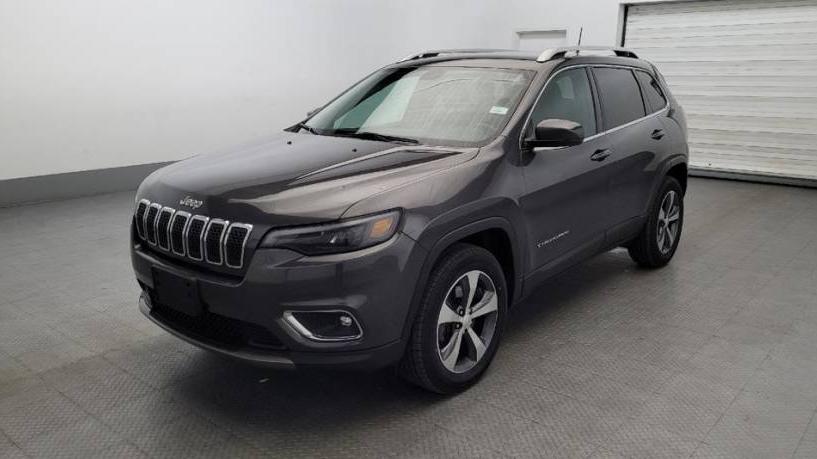 JEEP CHEROKEE 2019 1C4PJMDN5KD213451 image