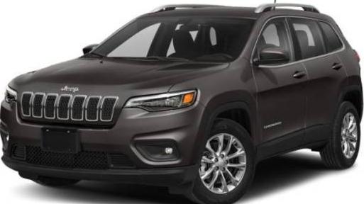 JEEP CHEROKEE 2019 1C4PJMDN7KD186415 image