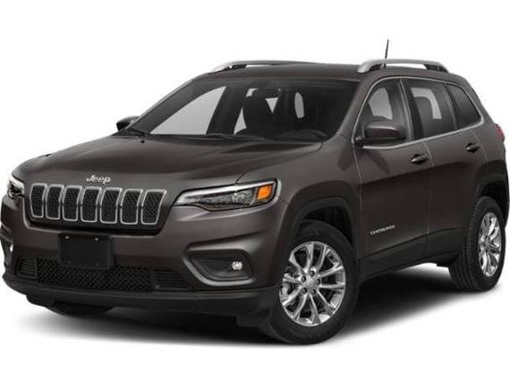 JEEP CHEROKEE 2019 1C4PJMDN7KD321120 image
