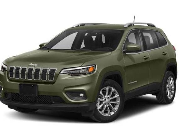 JEEP CHEROKEE 2019 1C4PJMDN5KD117352 image
