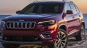 JEEP CHEROKEE 2019 1C4PJMDX1KD321664 image