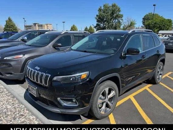 JEEP CHEROKEE 2019 1C4PJMDX5KD122245 image