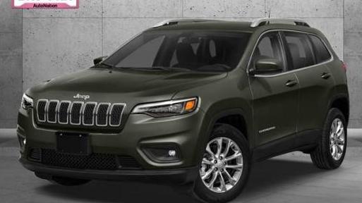 JEEP CHEROKEE 2019 1C4PJLLX1KD264250 image