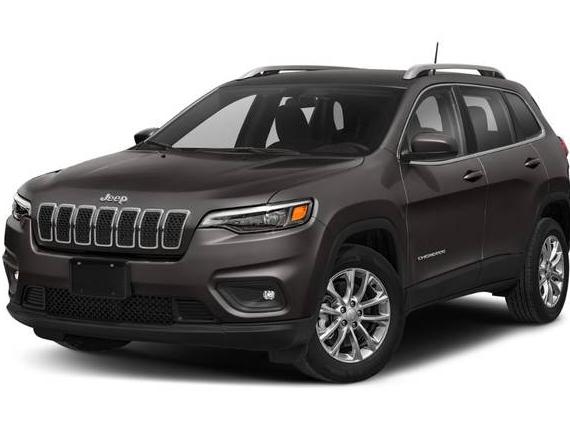 JEEP CHEROKEE 2019 1C4PJMDX1KD491393 image