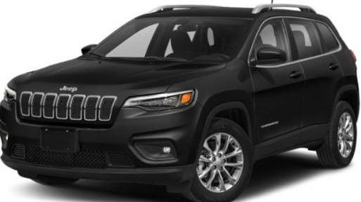 JEEP CHEROKEE 2019 1C4PJLCB8KD307616 image