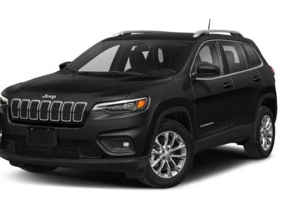 JEEP CHEROKEE 2019 1C4PJMDN6KD237984 image