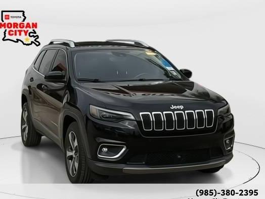 JEEP CHEROKEE 2019 1C4PJLDX9KD262258 image