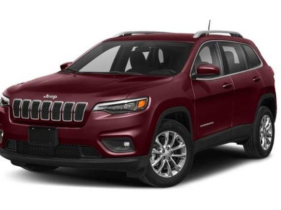 JEEP CHEROKEE 2019 1C4PJLDN2KD135737 image
