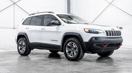 JEEP CHEROKEE 2019 1C4PJMBX1KD180968 image