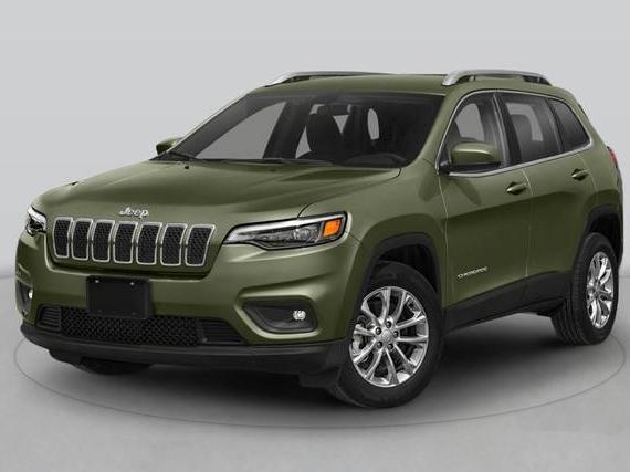 JEEP CHEROKEE 2020 1C4PJMDN7LD602335 image