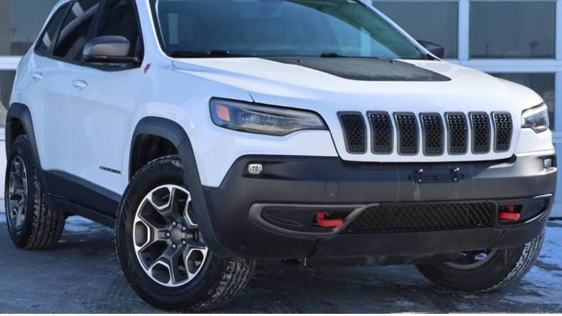 JEEP CHEROKEE 2020 1C4PJMBNXLD608083 image