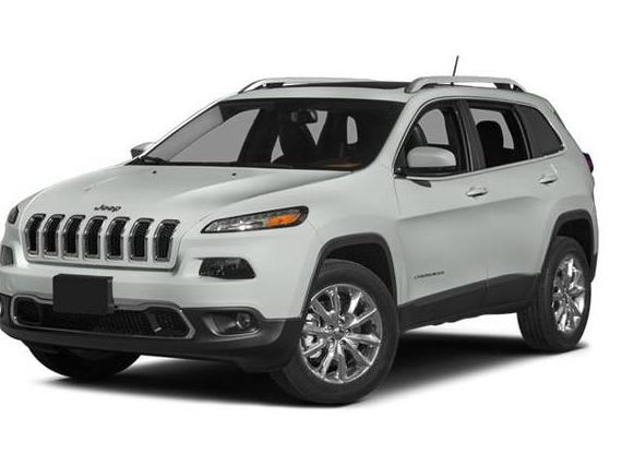 JEEP CHEROKEE 2014 1C4PJMDS9EW133939 image