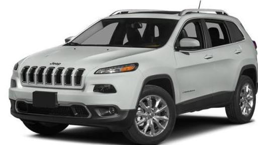 JEEP CHEROKEE 2014 1C4PJMDS4EW184376 image