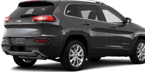 JEEP CHEROKEE 2014 1C4PJMDS0EW282823 image